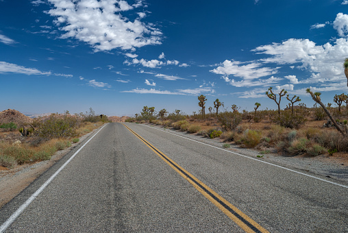 A road through Joshua Tree National Park in Southern California.