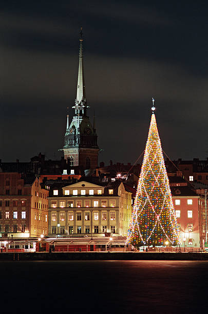 夜の stockholms 旧市街のクリスマスツリー - christmas christmas tree sweden decoration ストックフォトと画像