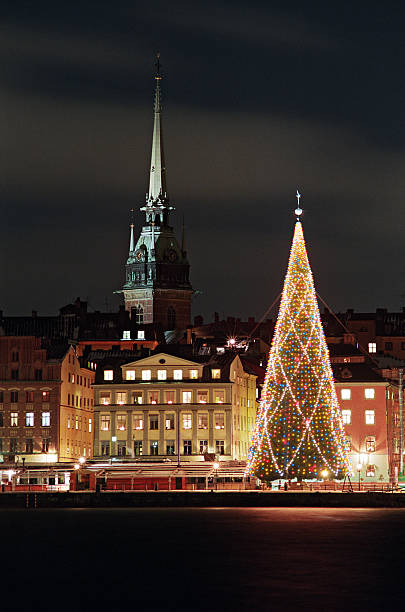 stockholms vista noturna da cidade velha com árvore de natal - christmas christmas tree sweden decoration - fotografias e filmes do acervo