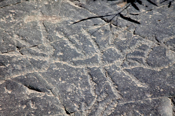 istock SOUTH AFRICAN PETROGLYPHS: DRIEKOPSEILAND 1458471169