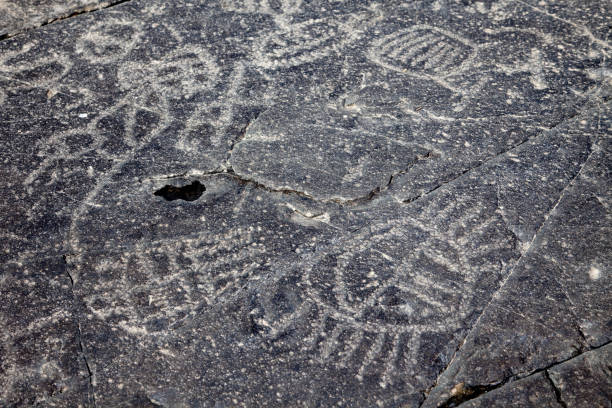 istock SOUTH AFRICAN PETROGLYPHS: DRIEKOPSEILAND 1458471486