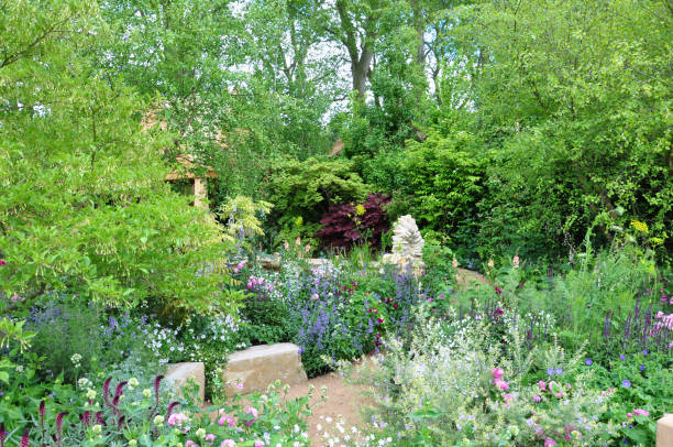 istock Naturalistic style cottage garden 1458471565