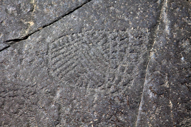 istock SOUTH AFRICAN PETROGLYPHS: DRIEKOPSEILAND 1458471903