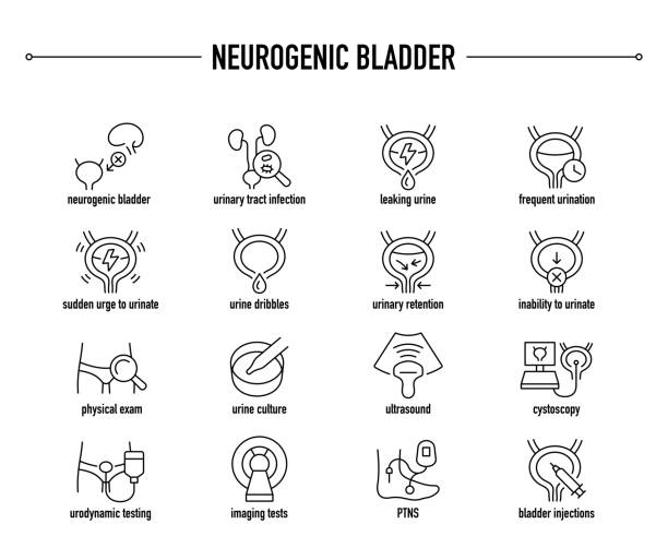 набор векторных значков нейрогенного мочевого пузыря. строка редактируемых медицинских иконок. - enuresis stock illustrations