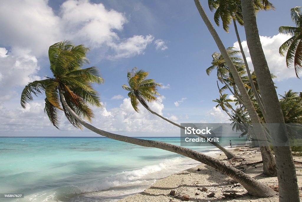 Praia do paraíso - Royalty-free Amimar Foto de stock