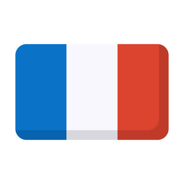 istock Modern French flag icon. France. Vector. 1458479058