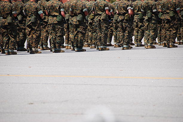 marines at attention - parris island bildbanksfoton och bilder