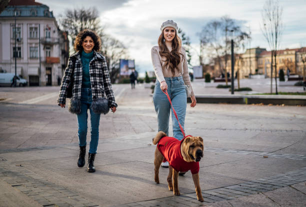 istock Female friends walking a dog 1458480934