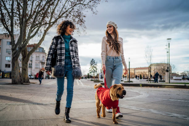 istock Female friends walking a dog 1458481030