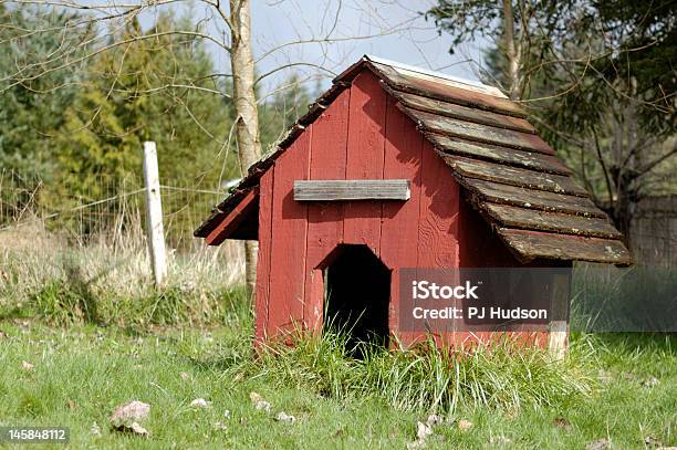 Vecchio Red Dog Housemodo Di Dire Inglese - Fotografie stock e altre immagini di Cuccia - Cuccia, Senza persone, Ambientazione esterna