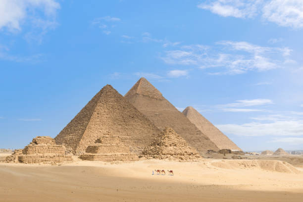 homme marchant avec des chameaux aux pyramides de gizeh, nécropole de gizeh, égypte - famous pyramid photos et images de collection
