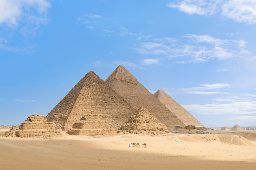 Pyramids of Giza, Giza Necropolis, Egypt - January 22, 2022: Man walking with camels at the Pyramids of Giza. \n\nThe Giza Necropolis is a large area near Giza, a suburb of Cairo that has many tombs and burial sites. It is also where you can find the famous Pyramids of Giza, the Great Sphinx, and more. The name comes from the ancient Greek word nekropolis, which literally means “city of the dead”.\n\nThe Giza Complex was once near the ancient Egyptian capital of Memphis, and the Giza plateau is where a number of pharaohs, queens, and nobles of the Fourth Dynasty of ancient Egypt were buried. \n\nAll three of Giza's pyramids and their elaborate burial complexes were built  from roughly 2550 to 2490 B.C. The pyramids were built by Pharaohs Khufu, Khafre, and Menkaure.