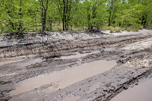 Mudhole in a dirt road leading into the Okavango Delta National Park in Botswana