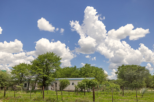 Okavango Delta National Park, Botswana - December 18th 2022:  Small house beside the dirt road leading into the national park