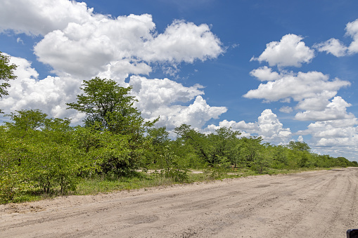 Dirt road leading into the Okavango Delta National Park in Botswana