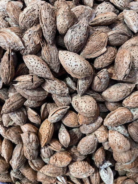 istock Pile of dry almonds closeup 1458483737