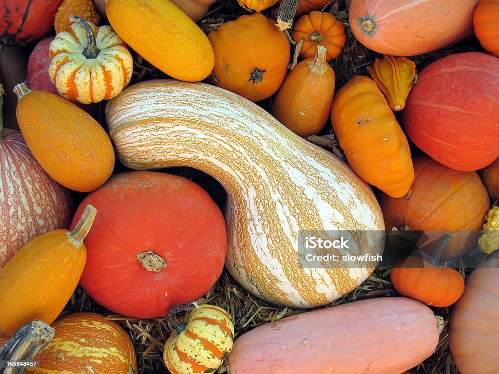 "Harvest" - Lizenzfrei Agrarbetrieb Stock-Foto