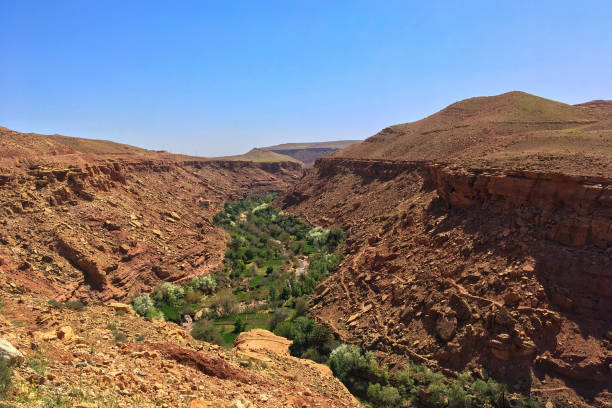 istock Moroccan mountains with an oasis in a valley 1458484978