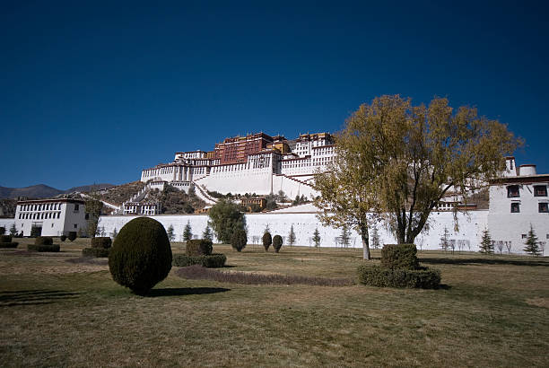 o palácio de potala em lhasa - tibet potala palace lhasa himalayas imagens e fotografias de stock