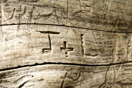 The initials J + L were carved on this fallen tree in Yosemite over 15 years ago on a path that leads to Bridal Veil Falls
