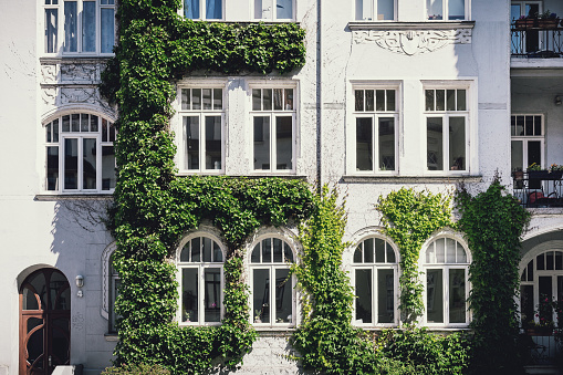 Beautiful facade greening in the Linden district of Hanover, Germany