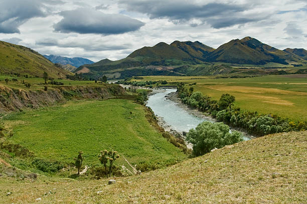 Green Landscape stock photo