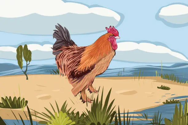 Vector illustration of Rooster