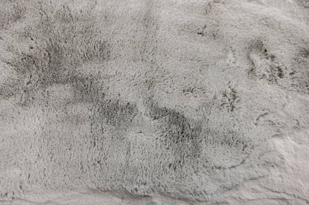 istock Stone gray concrete wall background. Abstract gray concrete wall texture 1458497393