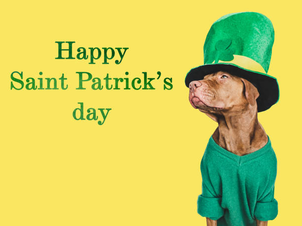 istock Puppy and a bright green leprechaun hat 1458498106