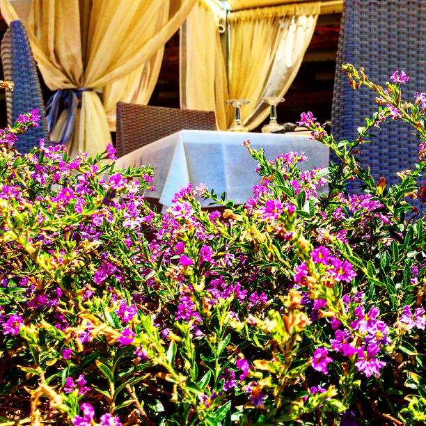 A set restaurant table in Byblos, Jbeil, Lebanon.