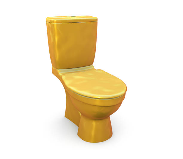 istock Golden Toilet bowl 1458501355