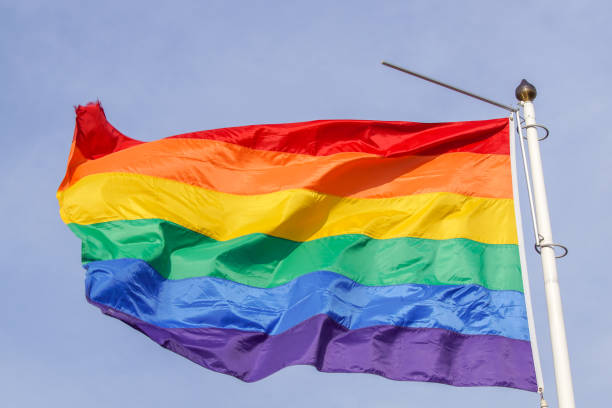 istock Low angle view of a rainbow flag 1458502523
