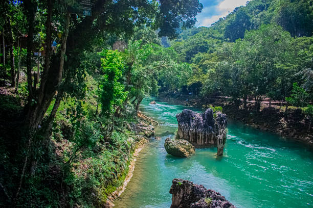 paisaje de rio con raboles semuc champey coban alta Verapaz