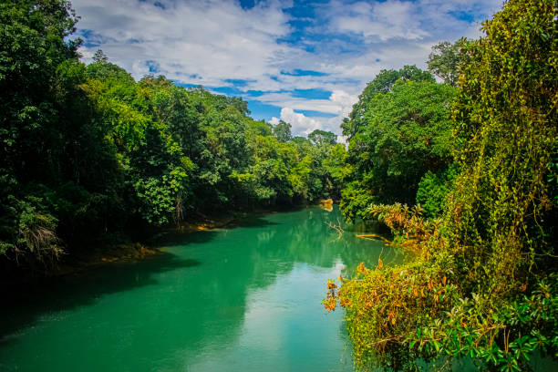 rio verde con arboles verdes semuc champey coban alta Verapaz