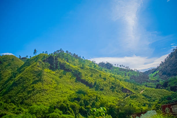 istock Beautiful mountain with green jungle 1458505110
