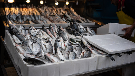 sea breams are on stand horizontal photo from fish bazaar