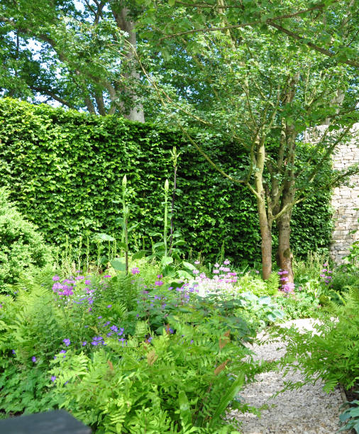 istock Naturalistic style cottage garden 1458510534