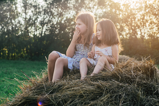 Pretty little girls sitting together at top of haystack on sunny day. Carefree children resting on hayrick. Outdoor walking. Happy sisters. Summer vacation, countryside lifestyle, haying.