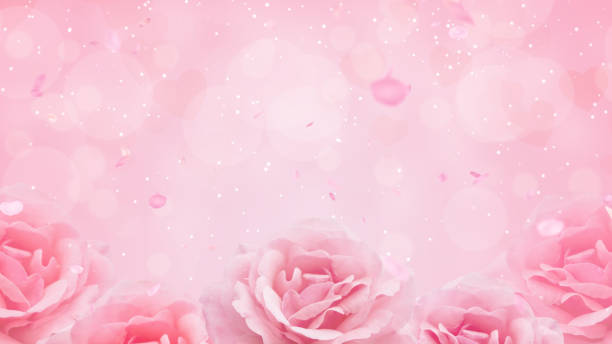 istock Falling Rose Petals, Valentine's Day  Background 1458514281