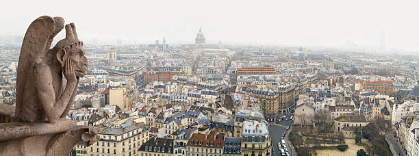 Panorama of Paris.View from Notre-Dame.