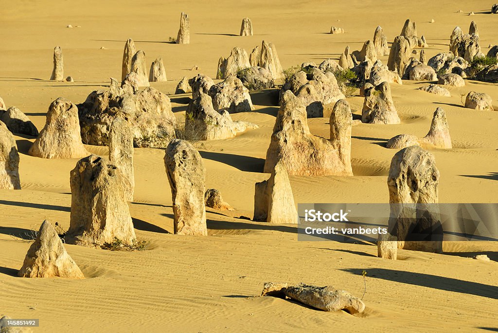 Pinnacles desert en Australie-Occidentale - Photo de Aiguille rocheuse libre de droits