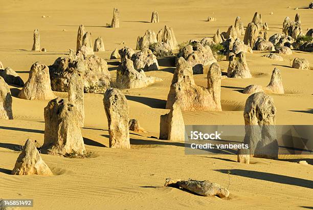 Photo libre de droit de Pinnacles Desert En Australieoccidentale banque d'images et plus d'images libres de droit de Aiguille rocheuse - Aiguille rocheuse, Australie, Beauté de la nature