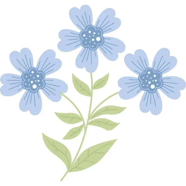 Vector illustration of Bouquet  blue cornflowers