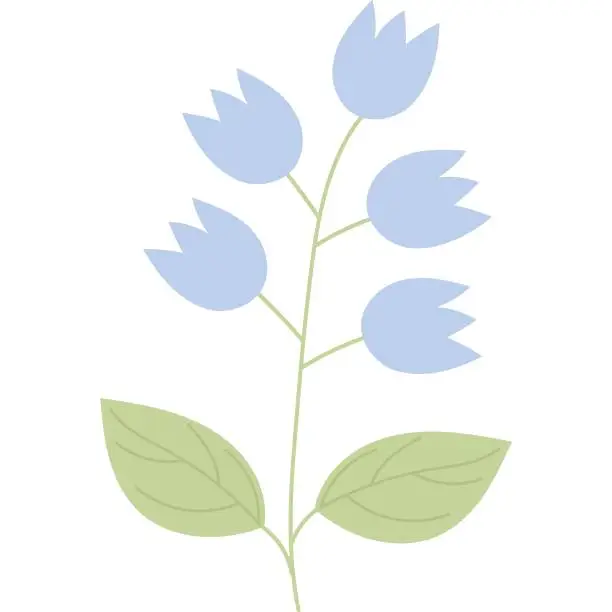 Vector illustration of Blue flower bluebells