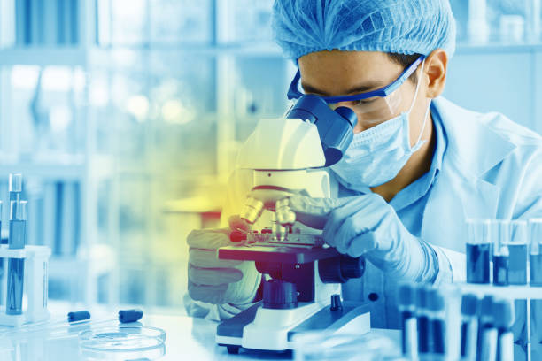 istock Scientists are using a microscope to test for viruses. or bacteria in the laboratory. Culture testing for the treatment of various diseases such as cancer, diabetes and COVID-19. 1458515152