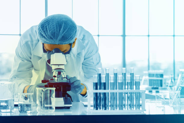 istock Scientists are using a microscope to test for viruses. or bacteria in the laboratory. Culture testing for the treatment of various diseases such as cancer, diabetes and COVID-19. 1458515181