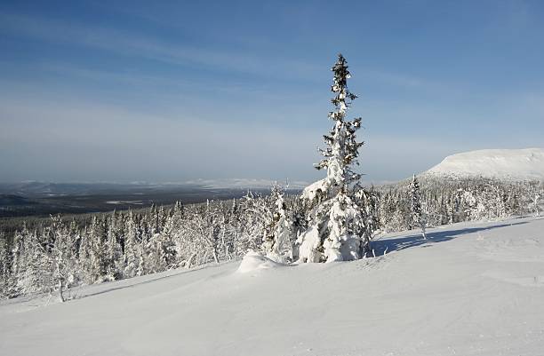 Winter in Scandinavia stock photo