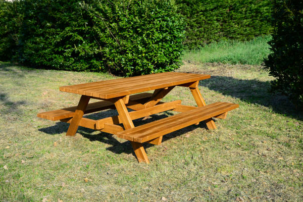 istock Empty wooden picnic table with benches in park on sunny day 1458516336