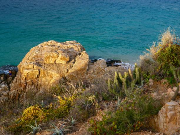 istock The Desert Meets the Ocean 1458517448