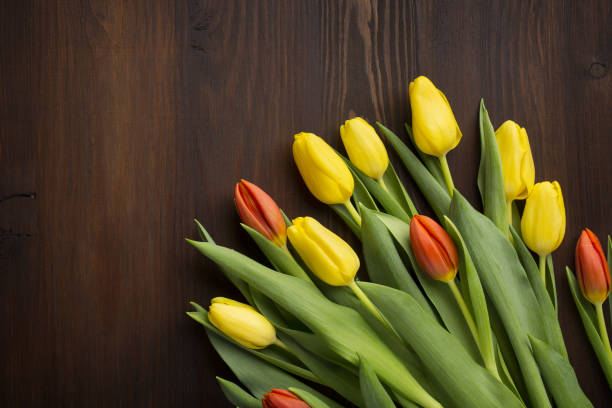 istock Colorful tulips on wooden table 1458517744